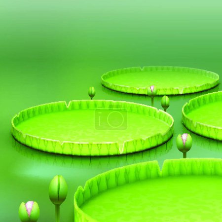 Illustration for Water Lily pad vector illustration - Royalty Free Image