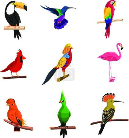 Téléchargez les illustrations : Oiseaux exotiques Illustration vectorielle - en licence libre de droit