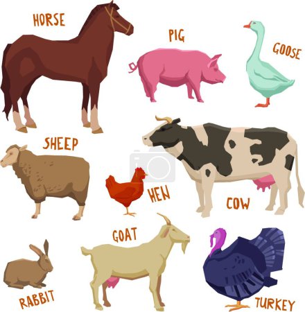 Téléchargez les illustrations : Illustration vectorielle des animaux de ferme - en licence libre de droit