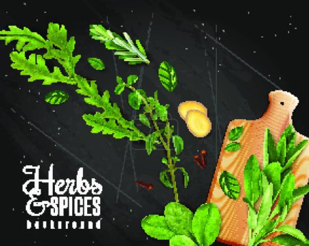 Illustration for Realistic Herbs Chalkboard, colorful vector illustration - Royalty Free Image