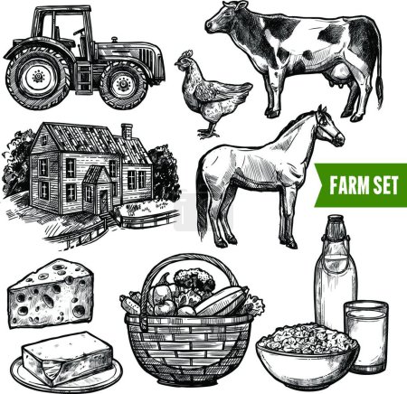 Téléchargez les illustrations : Organic Farm Set, illustration vectorielle - en licence libre de droit