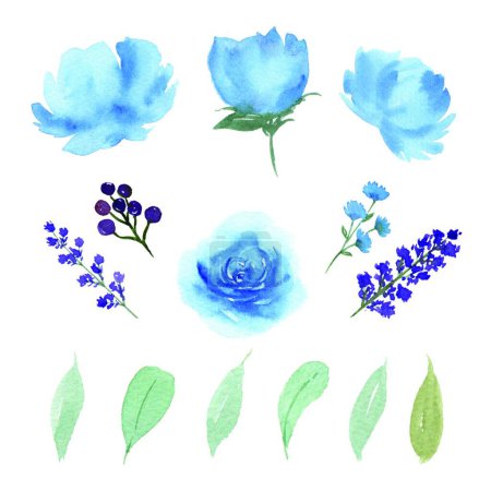 Illustration for Floral set floral background  vector illustration - Royalty Free Image