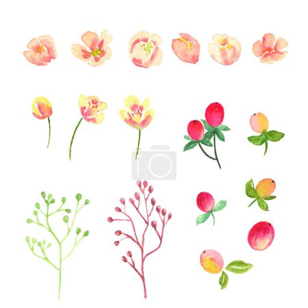 Illustration for Floral poster, background with flowers for copy space - Royalty Free Image