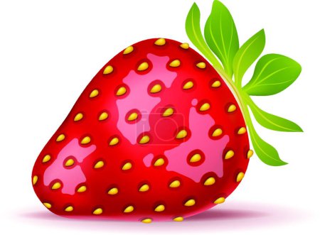 Illustration for Fresh organic strawberry vector illustration - Royalty Free Image