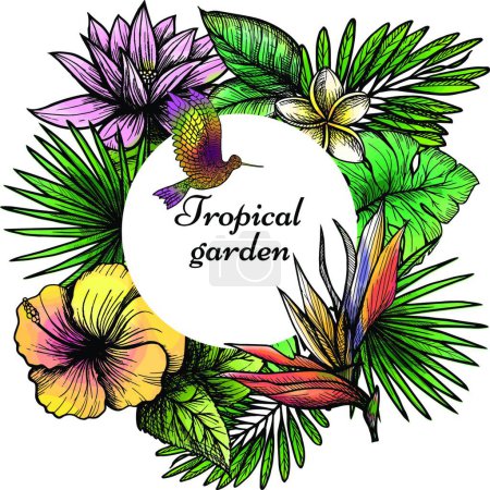 Illustration for "Tropical Frame Design", graphic vector illustration - Royalty Free Image