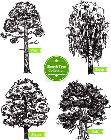 Ilustración de Bosquejo árbol conjunto vector ilustración - Imagen libre de derechos