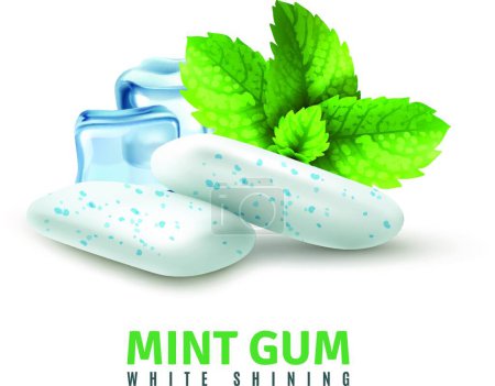 Téléchargez les illustrations : "Realistic Mint Gum ", illustration vectorielle graphique - en licence libre de droit