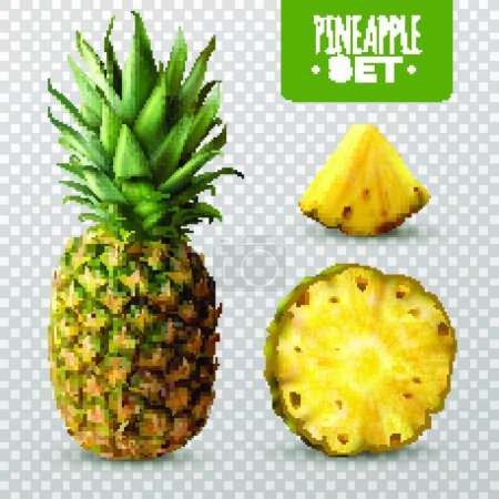 Illustration for Realistic Pineapple Set vector illustration - Royalty Free Image