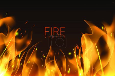 Illustration for Illustration of the Burning fire background - Royalty Free Image