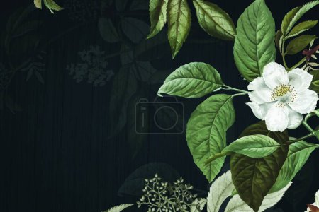 Illustration for Floral background , vector illustration - Royalty Free Image