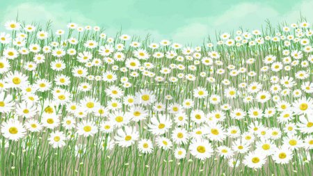 Illustration for Vector illustration of a background with chamomile flowers - Royalty Free Image
