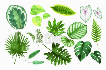 Téléchargez les illustrations : Jeu de feuilles vertes illustration vectorielle - en licence libre de droit