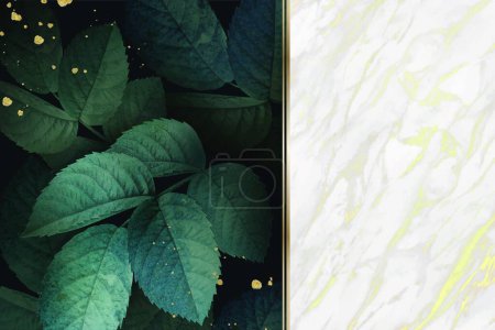 Illustration for Green leaves and marble background, vector illustration - Royalty Free Image