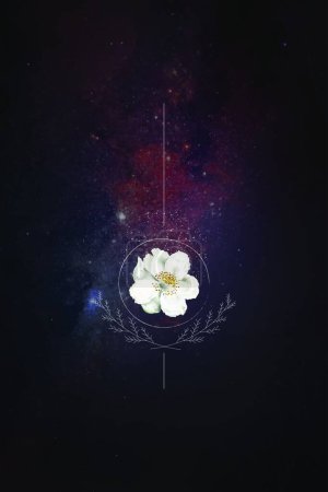 Téléchargez les illustrations : Fleur sur fond de ciel nocturne - en licence libre de droit