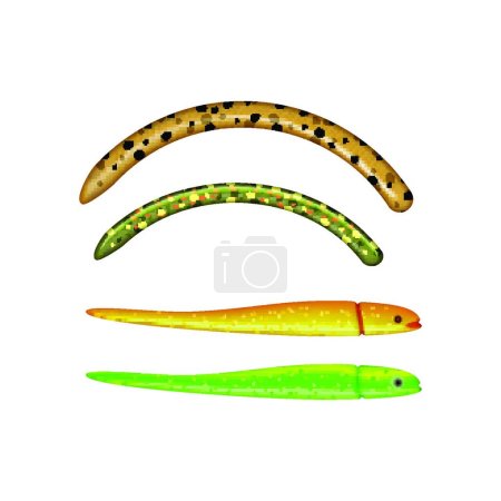 Illustration for Baits Realistic Illustration, colored vector illustration - Royalty Free Image