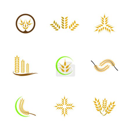 Illustration for Wheat vector icon, simple vector illustration - Royalty Free Image