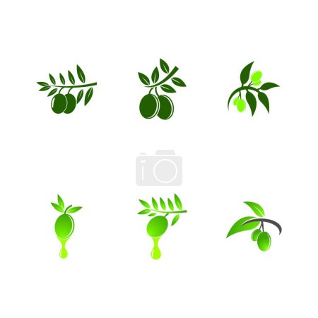 Ilustración de Icono de vector de oliva, ilustración de vector de color - Imagen libre de derechos