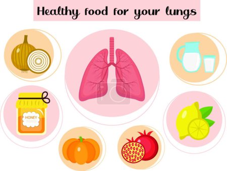 Illustration for "Healthy food for your lungs. Concept of food and vitamins, medicine, prevention of respiratory diseases. Vector illustration" - Royalty Free Image