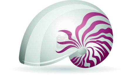 Ilustración de Icono de color - Ilustración vectorial Nautilus - Imagen libre de derechos