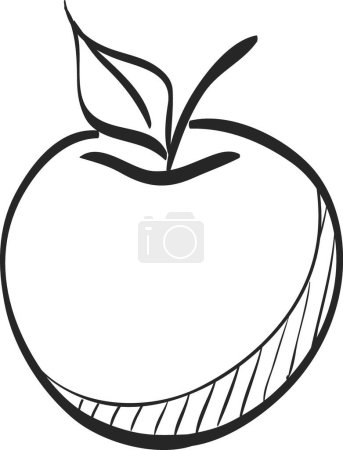 Illustration for Sketch icon - Apple vector illustration - Royalty Free Image