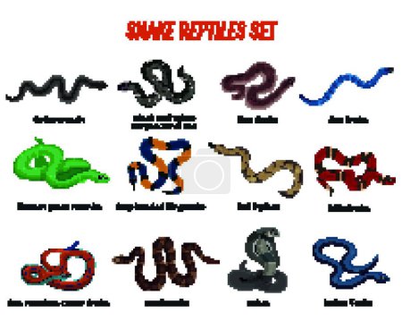 Téléchargez les illustrations : Serpents Reptiles Set illustration vectorielle - en licence libre de droit