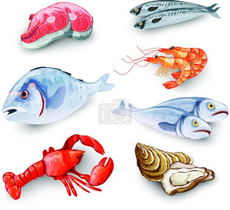 Téléchargez les illustrations : Set de produits de la mer, illustration vectorielle - en licence libre de droit
