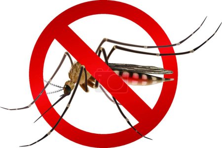 Illustration for Mosquito stop sign vector illustration - Royalty Free Image