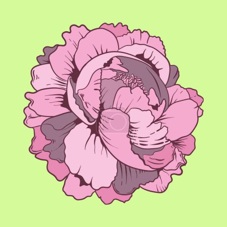 Illustration for Abstract color vector flower illustration - Royalty Free Image