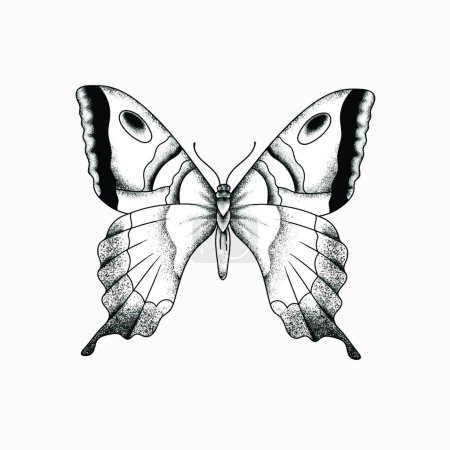 Ilustración de Mariposa. vector ilustración dibujada a mano - Imagen libre de derechos