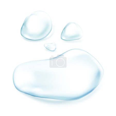 Illustration for Transparent water bubbles on white background. vector illustration - Royalty Free Image
