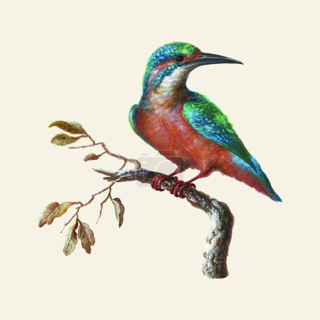 Téléchargez les illustrations : Illustration vectorielle oiseau sur branche - en licence libre de droit