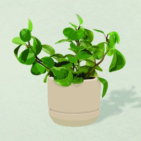 Illustration for Plant in pot  vector illustration - Royalty Free Image
