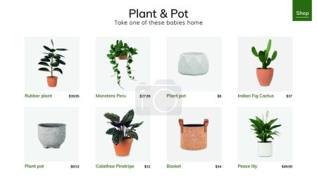 Téléchargez les illustrations : Illustration vectorielle de modèle de plante et pot - en licence libre de droit