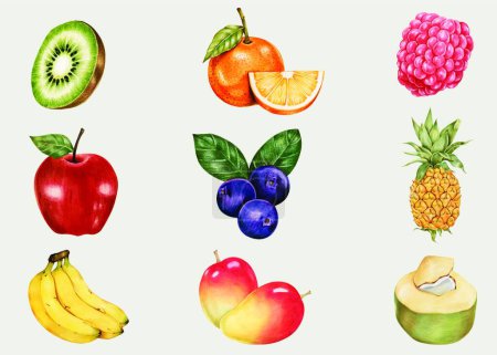 Téléchargez les illustrations : Fruit set illustration vectorielle moderne - en licence libre de droit