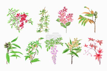 Téléchargez les illustrations : Modèle vectoriel de couleur conçu avec des fleurs - en licence libre de droit