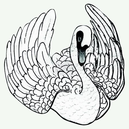 Téléchargez les illustrations : Illustration vectorielle d'oiseau cygne - en licence libre de droit