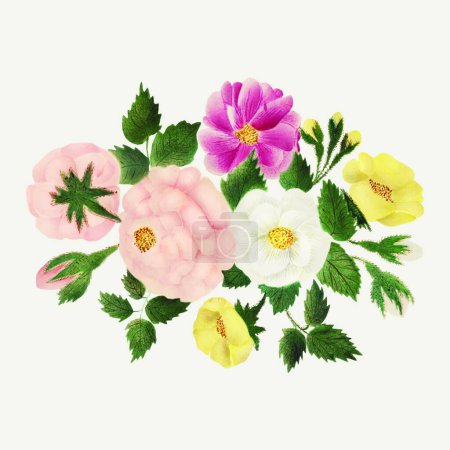 Téléchargez les illustrations : Belles fleurs roses et feuilles isolées sur blanc - en licence libre de droit