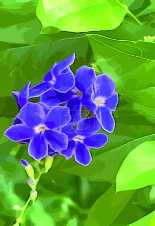 Illustration for Purple duranta erecta flowers in nature - Royalty Free Image