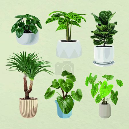 Illustration for Plants in pots, indoor plants, vector illustration - Royalty Free Image