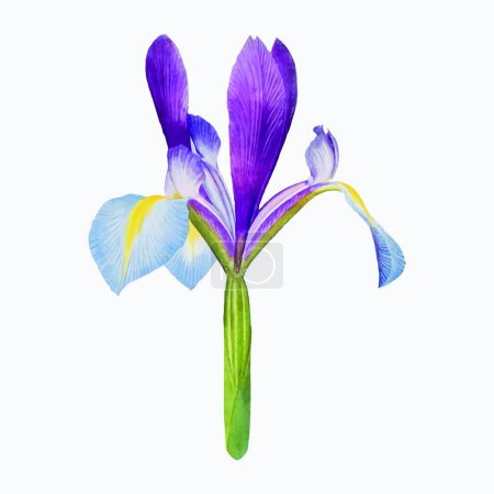 Illustration for Flower icon vector illustration - Royalty Free Image