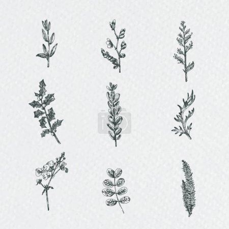 Illustration for Plant set modern vector illustration - Royalty Free Image