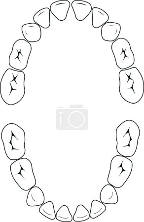 Ilustración de Dientes dentales vector ilustración - Imagen libre de derechos