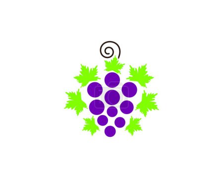 Téléchargez les illustrations : Grapes avec icône feuilles illustration vectorielle - en licence libre de droit