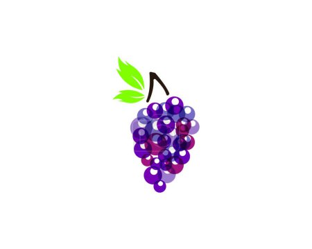 Téléchargez les illustrations : "Grape avec icône feuilles "illustration vectorielle - en licence libre de droit