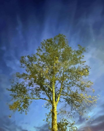 Ilustración de Cielo crepuscular con nubes y árboles en la naturaleza - Imagen libre de derechos