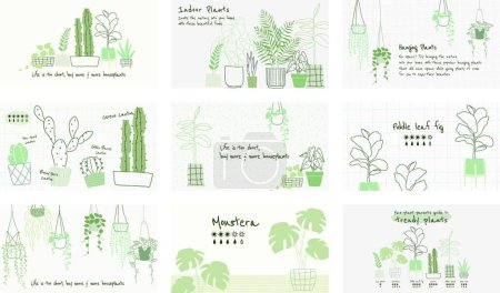 Téléchargez les illustrations : Plantes en pots, plantes d'intérieur, illustration vectorielle - en licence libre de droit