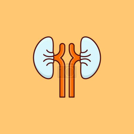Illustration for Kidneys  web icon vector illustration - Royalty Free Image