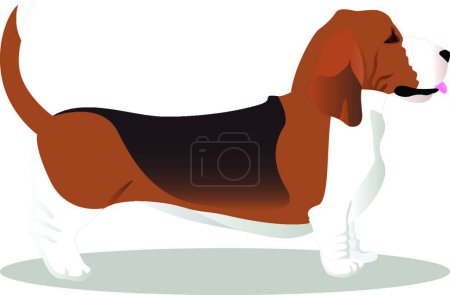 Illustration for Basset hound dog modern vector illustration - Royalty Free Image