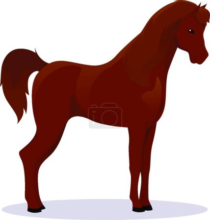 Ilustración de "Árabe pura sangre caballo vector ilustración" - Imagen libre de derechos