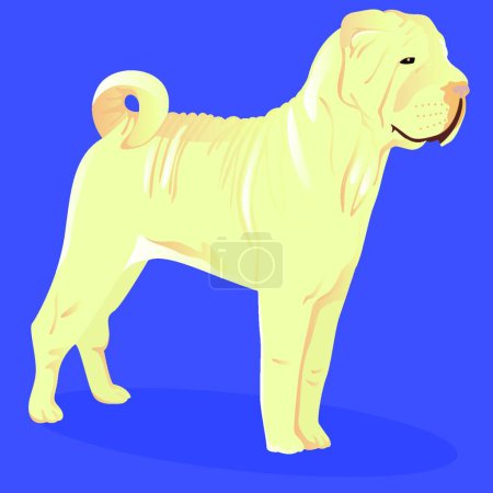 Téléchargez les illustrations : "Shar chinois pei chien blanc" - en licence libre de droit